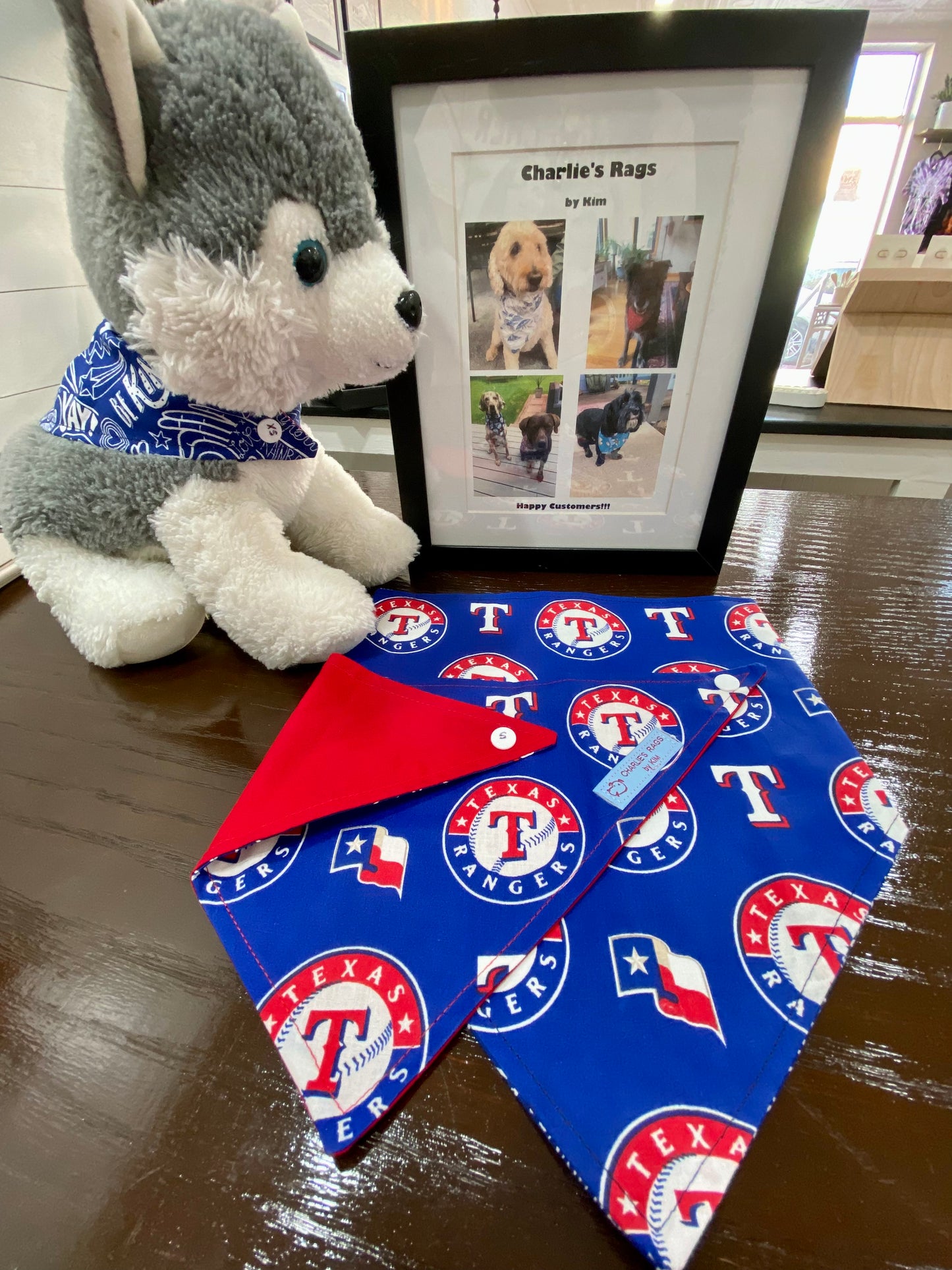 Texas Rangers Reversible Dog Bandana